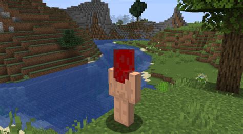 minecraft naked skin|Minecraft Skins